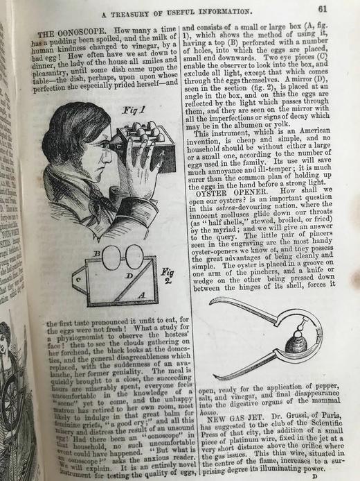 约19世纪后期 家庭百科全书 约百幅精美版画插图 漆布精装32开 商品图13