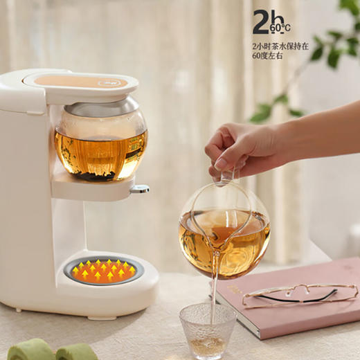 【样品清仓5折，仅1件，无原包装】鸣盏台式茶吧机 智能茶饮机 养生壶 泡茶机 电热烧水壶茶壶玻璃花茶壶速热饮水机 家用办公室 MZ-1151 商品图6