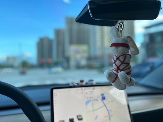 Colour.C恋人请放开&入门情趣三件套（眼罩，羽毛，静电胶带，鞭子，手工捆绑娃娃） 商品图8