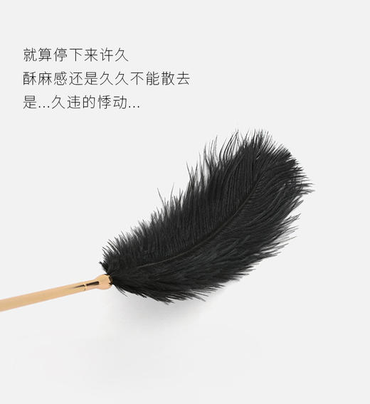 Colour.C恋人请放开&入门情趣三件套（眼罩，羽毛，静电胶带，鞭子，手工捆绑娃娃） 商品图2