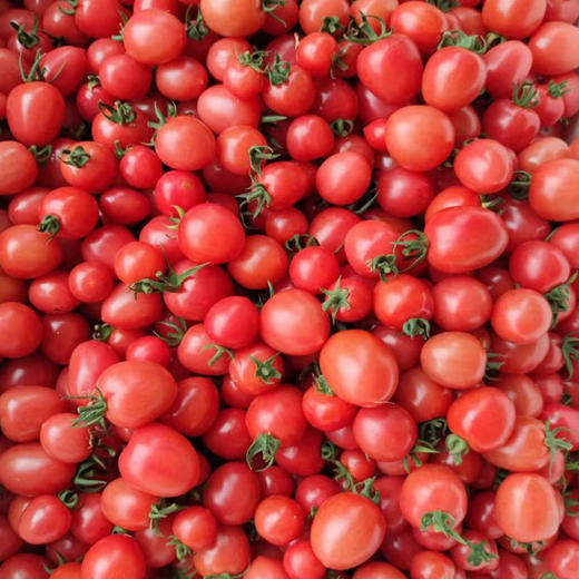 有机农场蔬菜大礼盒9斤 新鲜采摘可混搭顺丰包邮 商品图3