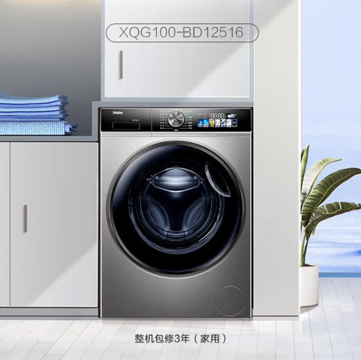 海尔（Haier）洗衣机 XQG100-BD12516 商品图0