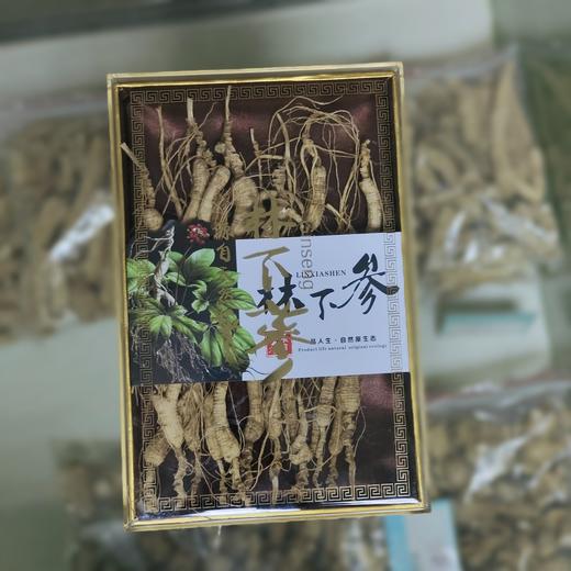 林下参 商品图1
