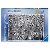 Ravensburger拼图斑马挑战500片RAVC148073 商品缩略图0