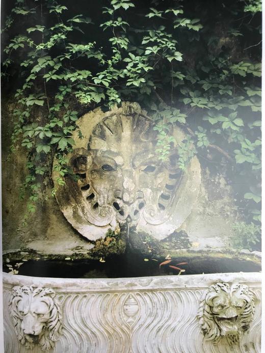 罗马肖像摄影图集 约百幅彩色插图 精装大16开带书匣 商品图8