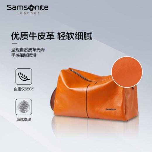 新秀丽LITBIZ系列通用商务斜跨包NR7*003 商品图3