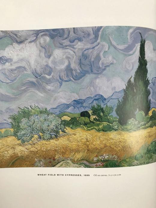 梵高与佩蒂特大道的画家们 约百余幅插图 精装大16开 商品图8