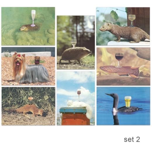 「顶杯小动物周边」明信片套装 © Chantal Rens 商品图1