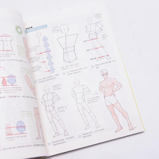 飞乐鸟哒哒猫大漫画家的手绘笔记人体动态这样画漫画入门教程书 商品图5