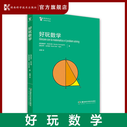 “科学年少”丛书 数学游戏 玩转数字 好玩数学 小初衔接，爱上数学 商品图3