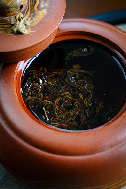 【2009冰岛老寨】甜润感/清凉感/茶气/饱满度/厚度/回甘生津感拉满！ 商品图12