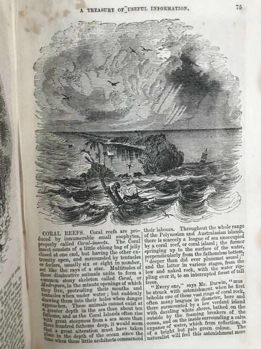 约19世纪后期 家庭百科全书 约百幅精美版画插图 漆布精装32开 商品图11