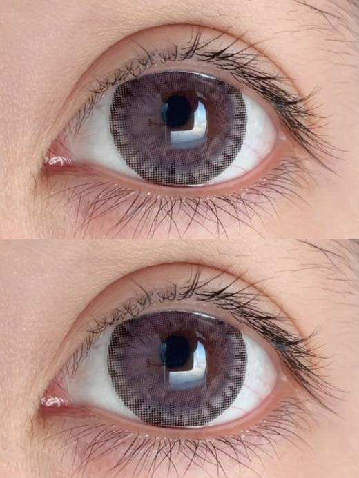 【店主实拍】SHEEPCON-焦茶蔷薇-14.5mm【年抛 度数0-1000度 无525/575】 商品图2