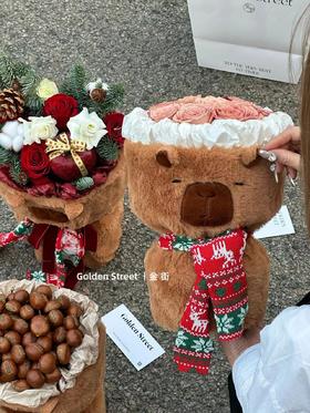 【琳琅】卡皮巴拉75*40cm搭配链接