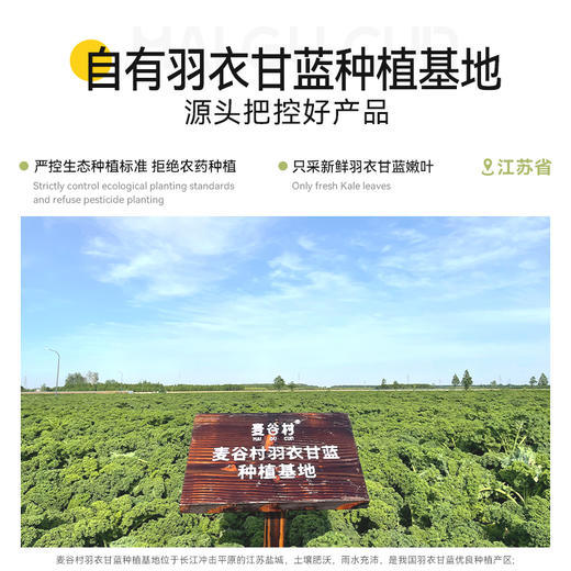 麦谷村生椰益生元羽衣甘蓝粉 商品图4
