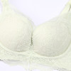 都市丽人自然舒适手掌杯塑造丰满胸型内衣女蕾丝文胸BC杯适穿3/4杯无钢圈三排扣LB42C3 商品缩略图10