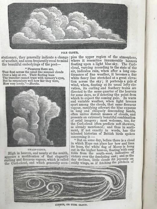 约19世纪后期 家庭百科全书 约百幅精美版画插图 漆布精装32开 商品图10