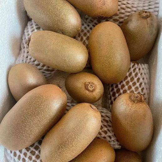 【包邮】陕西金福猕猴桃 微软甜糯 熟透果冻 圆柱形个大 猕猴桃家族新宠 商品图5