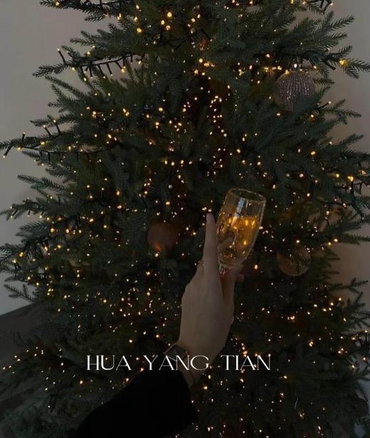 圣诞限定  梦幻圣诞 仿真纯树 商品图1