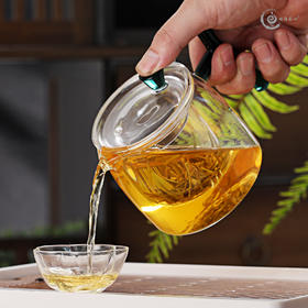 璃匠-LCH023三件套泡茶壶( 湖绿色)泡茶三件杯400ml滤片带盖泡茶壶