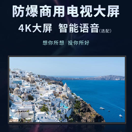 长虹（CHANGHONG）防爆电视 75K850 商品图7