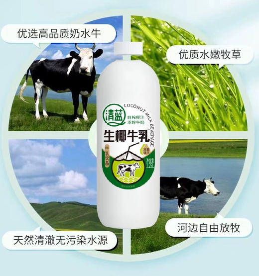 清蓝生椰牛乳 1.25L/瓶 商品图4