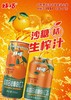 好巧 生榨果汁汽水330ml*16罐/箱【FY】 商品缩略图5