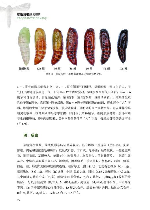 吴孔明 等 编著《草地贪夜蛾的研究》 商品图6