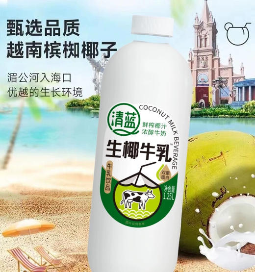 清蓝生椰牛乳 1.25L/瓶 商品图1