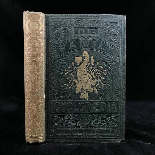 约19世纪后期 家庭百科全书 约百幅精美版画插图 漆布精装32开 商品图0