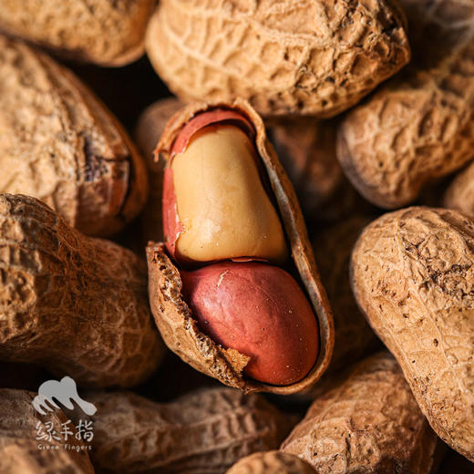 生态带壳炒花生（临期8折特惠） | 合作生产*Ecological goji berry｜Coproducted 商品图0