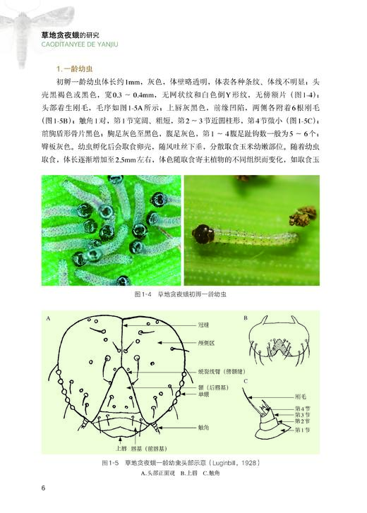 吴孔明 等 编著《草地贪夜蛾的研究》 商品图3