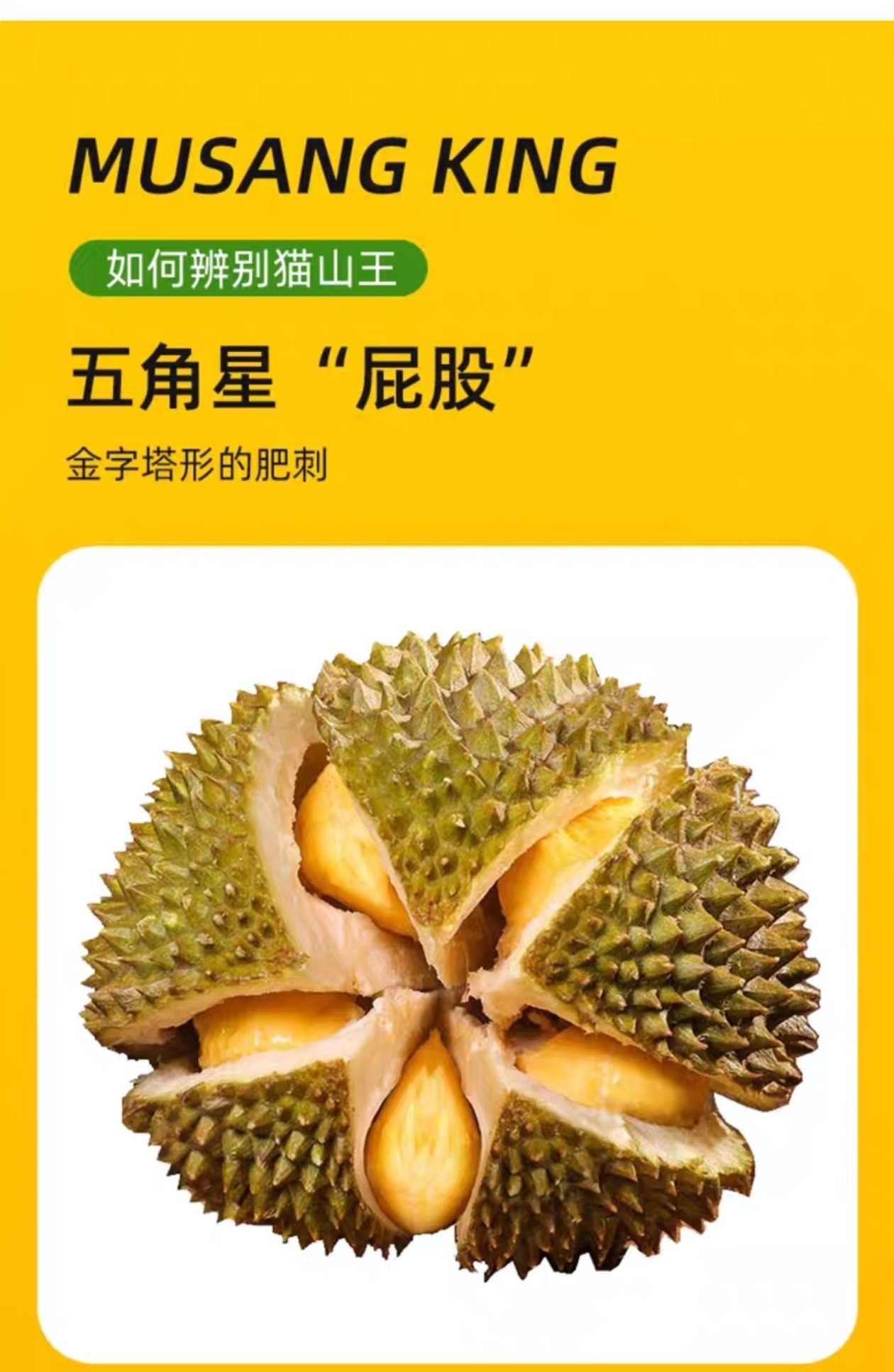 ѡèɽd197Һ䶳ǽˮ˳