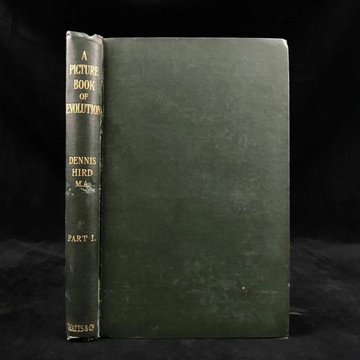 1906年 进化图鉴（卷1） 182幅插图 漆布精装32开 商品图0