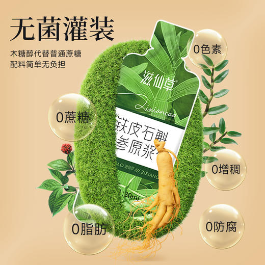 【295元4盒】滋仙草铁皮石斛人参原浆 商品图2