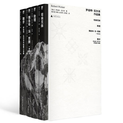 罗伯特·瓦尔泽作品集《散步：中短篇小说集》《雅各布·冯·贡腾：一本日记》《助理》《坦纳兄妹》 商品图4