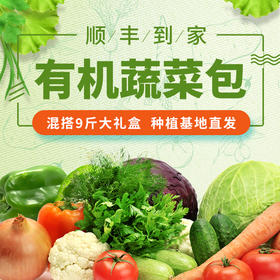 有机农场蔬菜大礼盒9斤 新鲜采摘可混搭顺丰包邮
