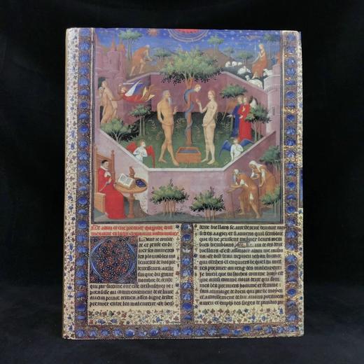 詹森艺术史（第五版再版） 1253幅插图 精装16开 商品图0