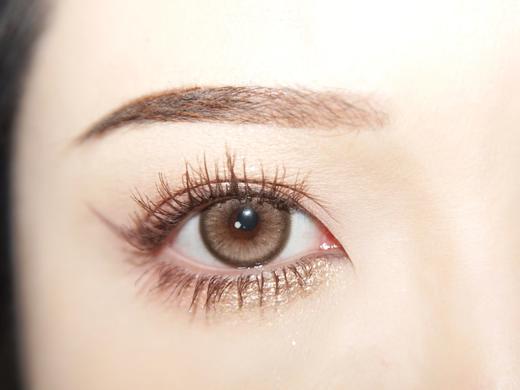 Doragina旗下年抛 · 霜后茶园&焦糖松栗｜14.5mm白狮参考着色待测｜韩产年抛 2片 商品图7