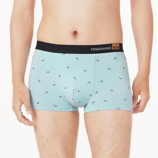 都市丽人都市锋尚日常休闲内裤男40S棉拉架男士内裤平角内裤FK4CA7 商品图1