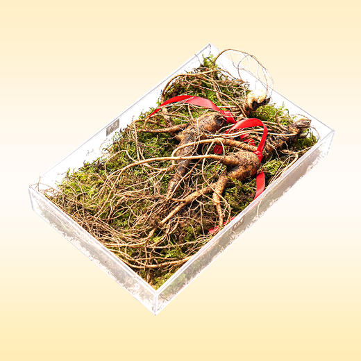 宣上医长白山鲜野山参 商品图1