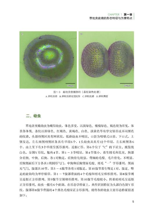 吴孔明 等 编著《草地贪夜蛾的研究》 商品图2
