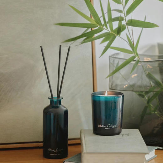 亏清 让每一次呼吸都成为艺术 欧珑橙花坦吉尔无火香薰 盒子有折损 商品图0