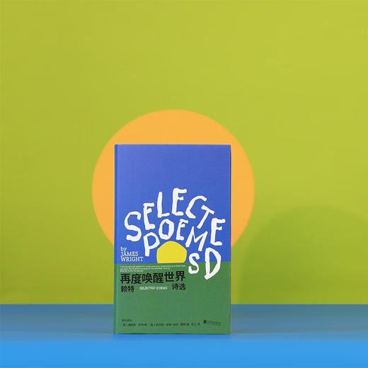 【汇签本】再度唤醒世界:赖特诗选 普利策奖诗人詹姆斯·赖特毕生诗歌精选集【特价】 商品图3