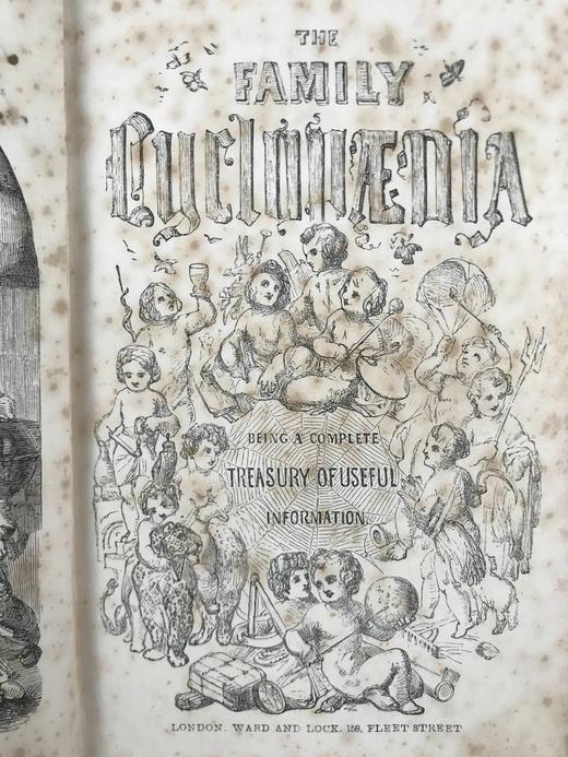 约19世纪后期 家庭百科全书 约百幅精美版画插图 漆布精装32开 商品图3