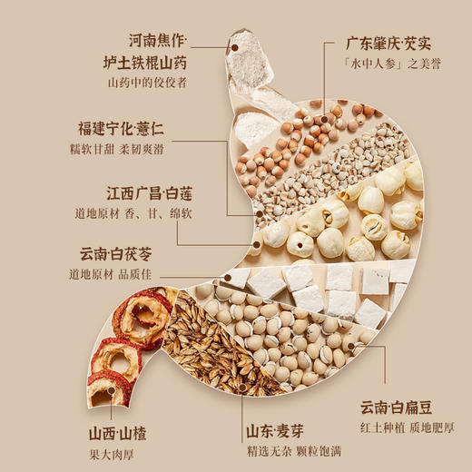 细腻柔滑的八珍粉 600g/瓶药食同源、道地原材、破壁打粉易吸收 商品图1