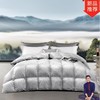 南方生活 高端120支全棉提花95白鹅绒被 商品缩略图0