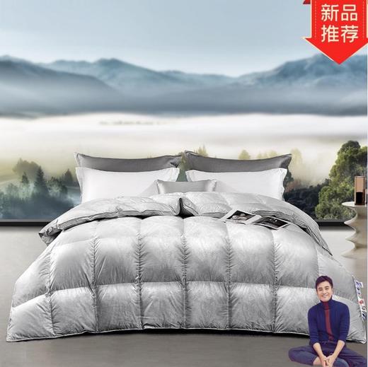 南方生活 高端120支全棉提花95白鹅绒被 商品图0
