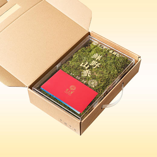 宣上医长白山鲜野山参 商品图2