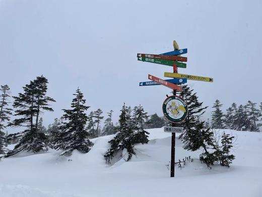 【25/26雪季】·【春节苗场】2月23日-28日，6天5晚，与SPADERS黑桃相约苗场滑雪！ 商品图3